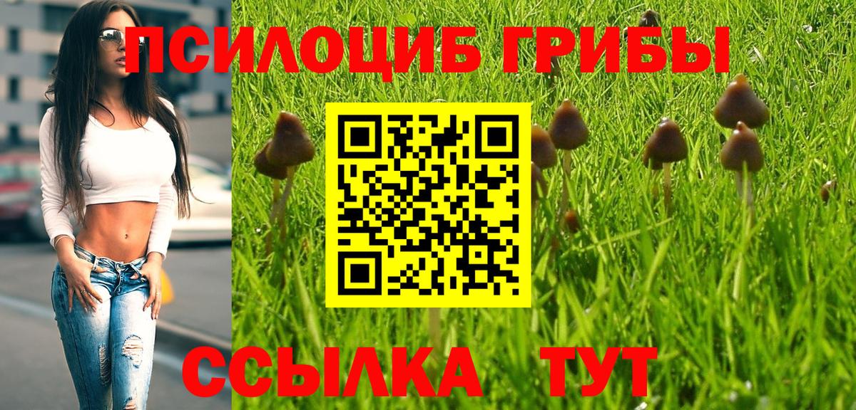 купить   Вход с VPN  Сальск  Псилоцибиновые грибы ЛСД 